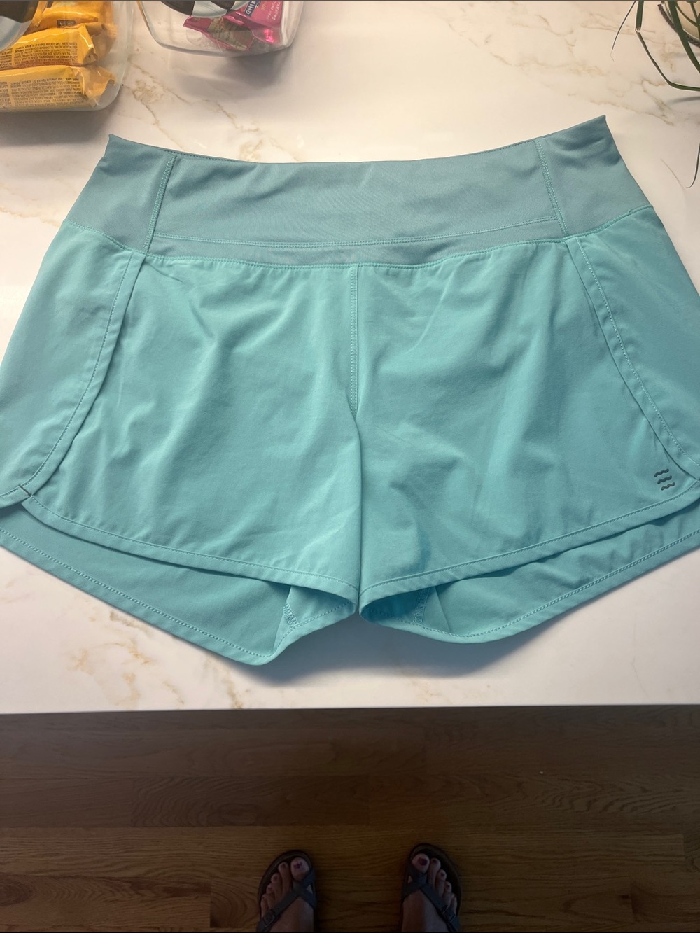 FREE FLY Aqua Athletic Shorts with Wide Waistband